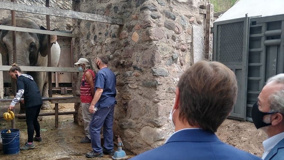 Rodolfo Suarez, en la previa del traslado de las elefantas del Ecoparque Pocha y Guillermina.