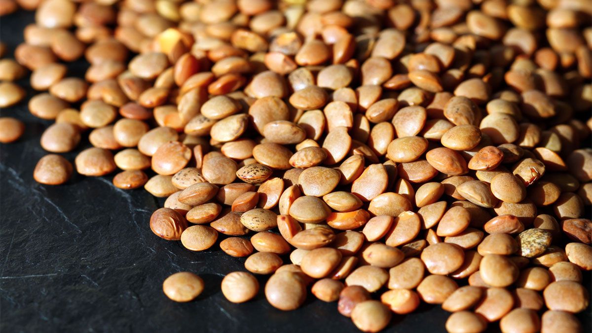 Hacen falta lentejas de muy buena calidad para que la receta al escabeche salga bien hecha y para chuparse los dedos.