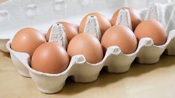 Los huevos deben colocarse con la punta hacia abajo para conseguir una mayor durabildiad.
