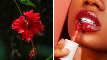 Cómo hacer un bálsamo labial usando flor de Jamaica: paso a paso Cómo hacer un bálsamo labial usando flor de Jamaica: paso a paso