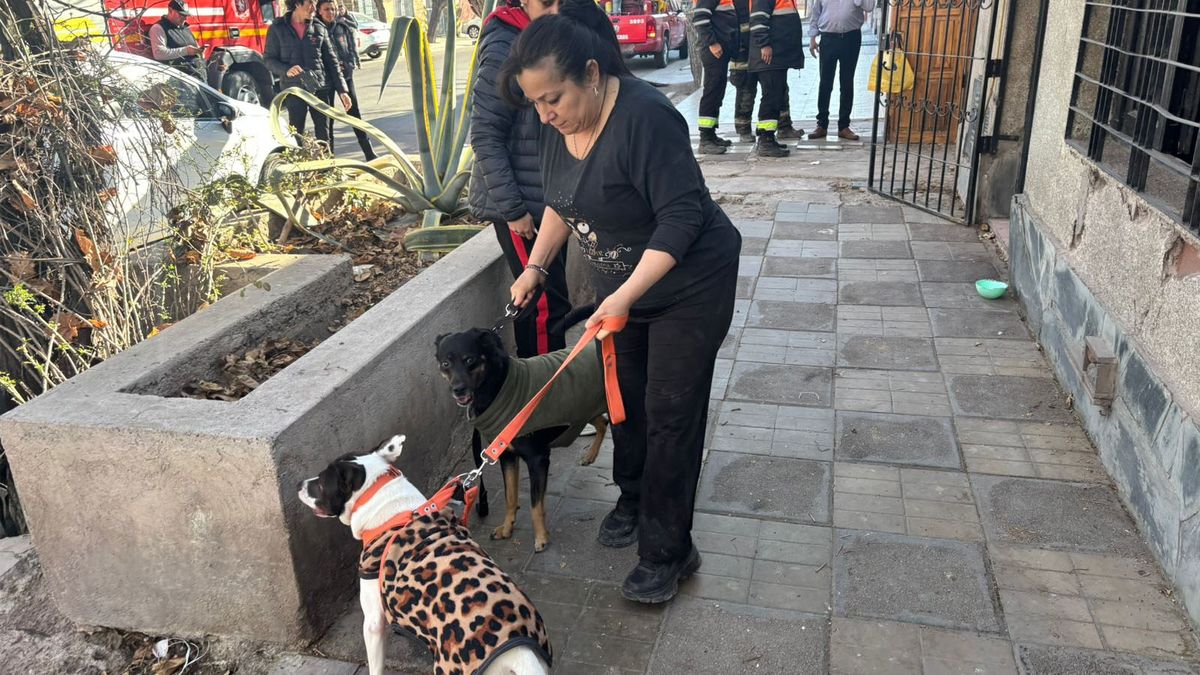 La familia que sufrió el derrumbe en parte del techo de su casa se dedica al rescate de perros. La familia que sufrió el derrumbe en parte del techo de su casa se dedica al rescate de perros.
