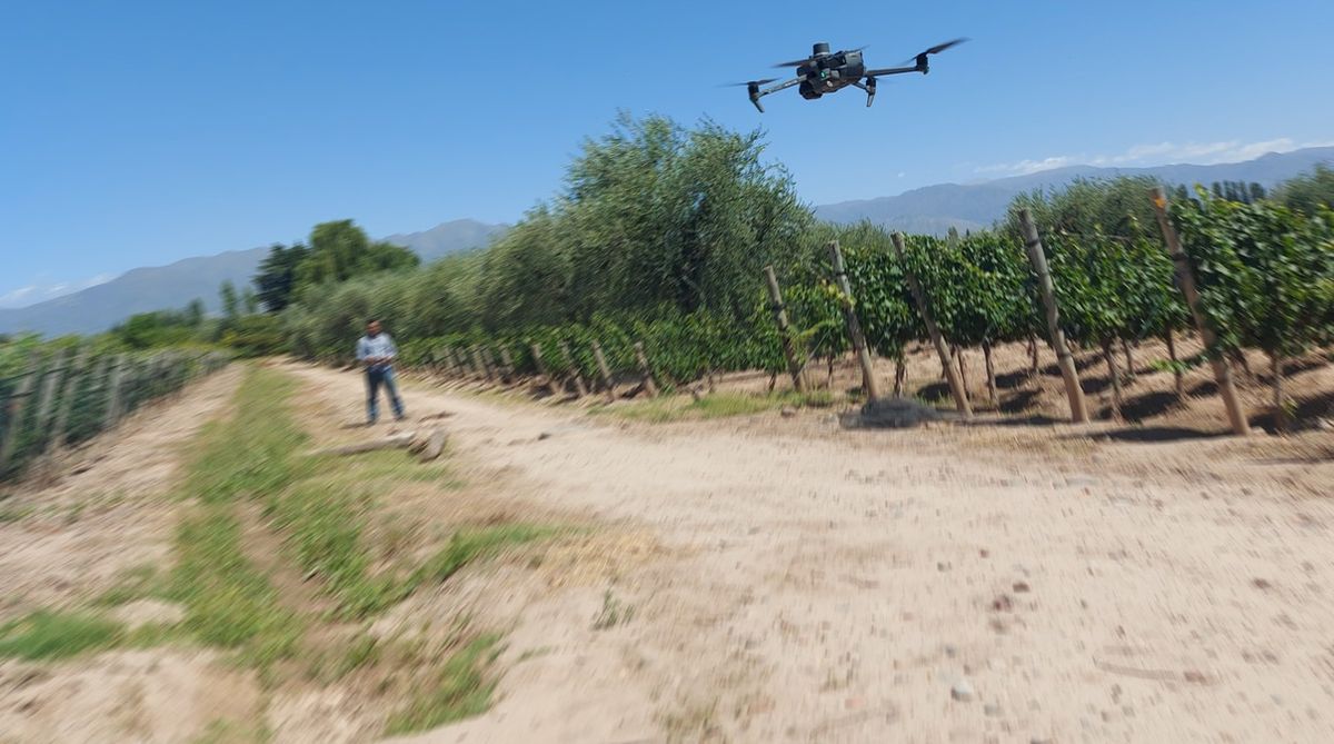 Con las imágenes de los drones identifican los puntos específicos donde puede llegar a haber problemas.