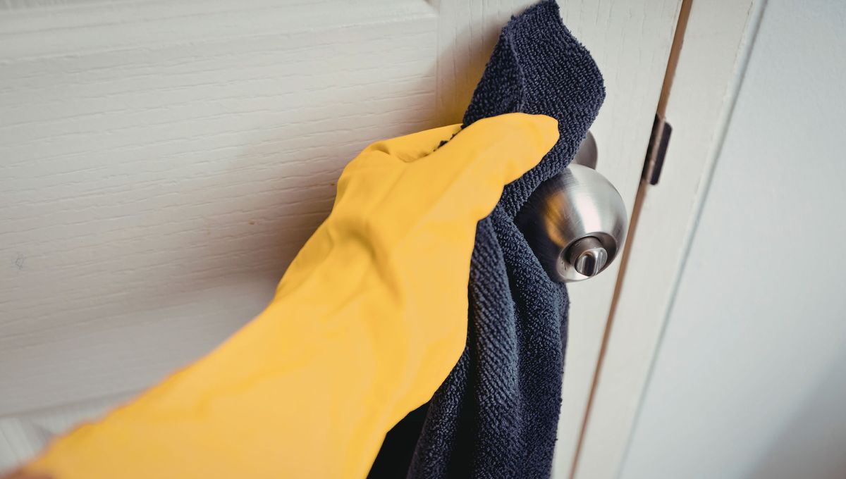 Limpia las puertas de la casa regularmente. Limpia las puertas de la casa regularmente. 