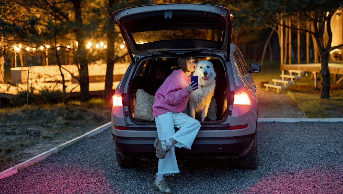 Vacaciones con mascotas. Vacaciones con mascotas. 