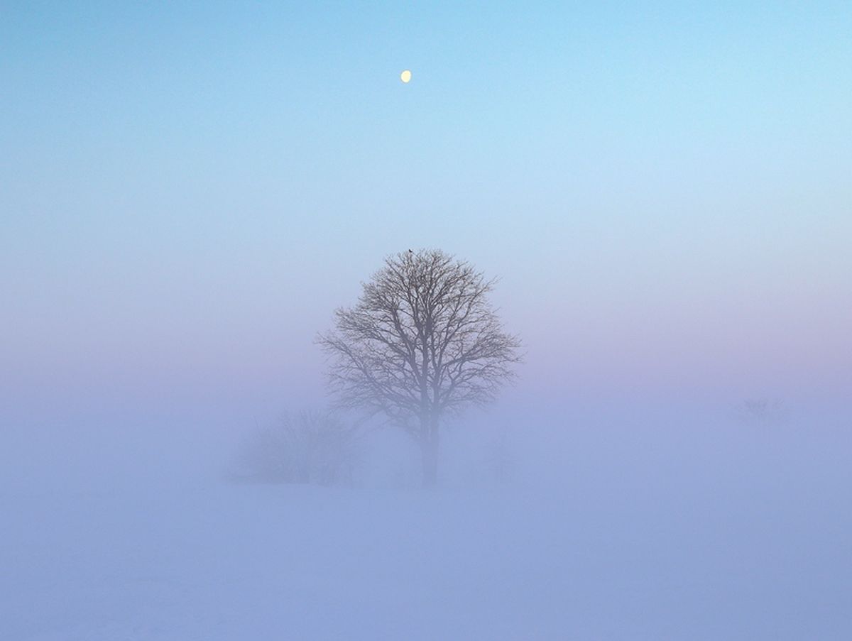 La niebla de radiación inversa es un fenómeno meteorológico común en noches frías y despejadas La niebla de radiación inversa es un fenómeno meteorológico común en noches frías y despejadas
