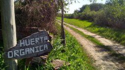 Agrotóxicos: en La Picada piden que para fumigar por lo menos cumplan con la ley