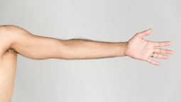 La RAE define: la parte hundida del brazo opuesta al codo se llama sangradura o fosa del codo.