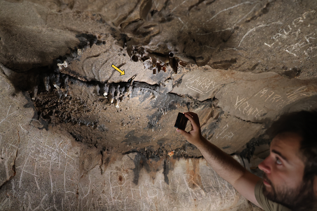Sorprendente descubrimiento en una cueva de España deja sin habla a arqueólogos por su conexión con el Roma