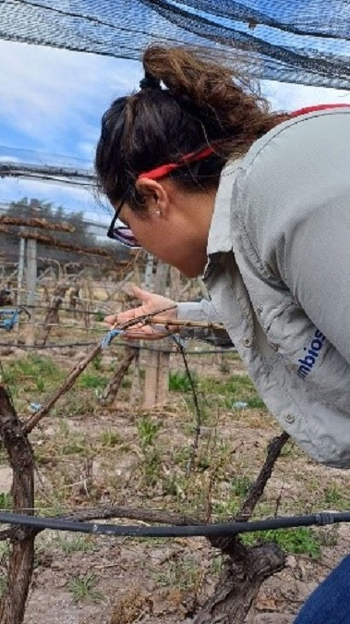 SIMBIOS realiza continuamente muestreos, análisis y ensayos para evaluar los efectos de la aplicación de sus productos. SIMBIOS realiza continuamente muestreos, análisis y ensayos para evaluar los efectos de la aplicación de sus productos.