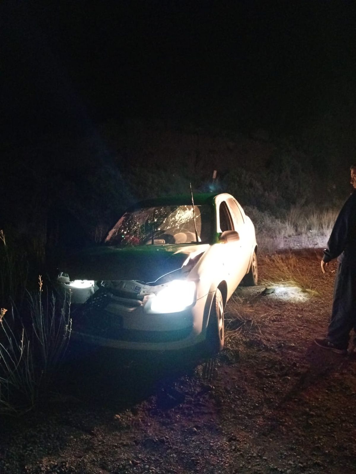 La conductora fue sometida a una prueba de alcoholemia y el resultado fue negativo. La conductora fue sometida a una prueba de alcoholemia y el resultado fue negativo.