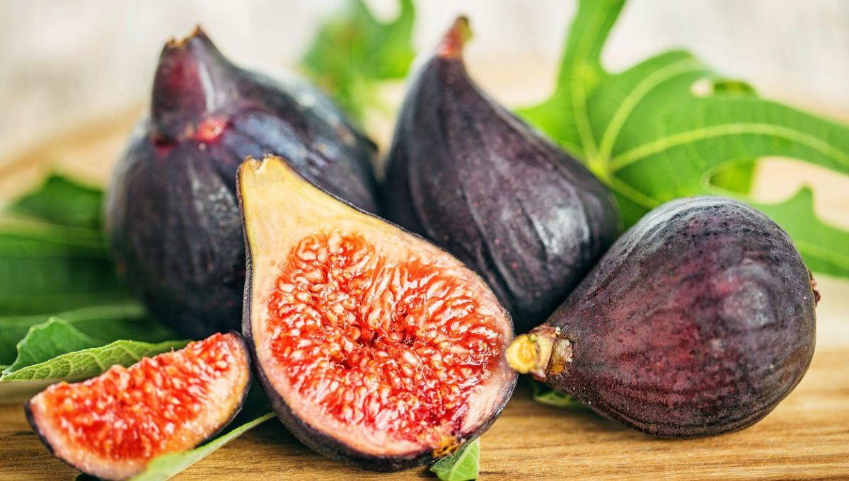Cómo conseguir una buena cosecha de higos