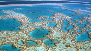 El blanqueo del arrecife de coral de Australia supondría la pérdida de millones