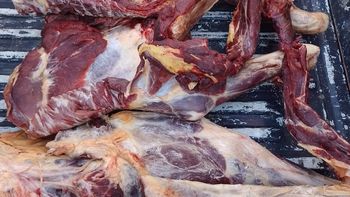 Detuvieron a dos hombres en San Rafael con carne de burro sin documentación