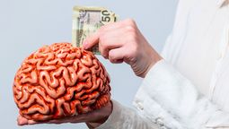 Neurociencia: si sos de las personas que gasta mucho dinero, tu cerebro funciona diferente al de los demás.. Fuente Canva