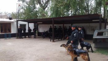 Los perros ayudaron a encontrar las armas que le robaron a un reconocido abogado