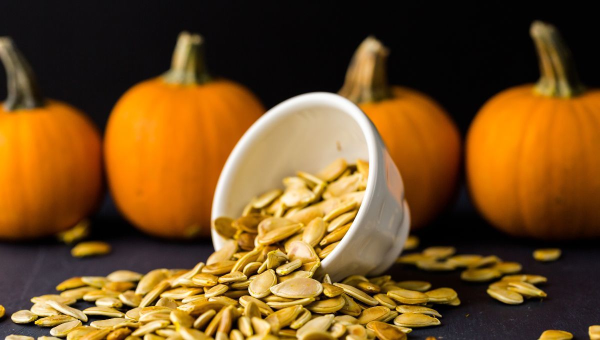 Semillas calabaza. Semillas calabaza. 