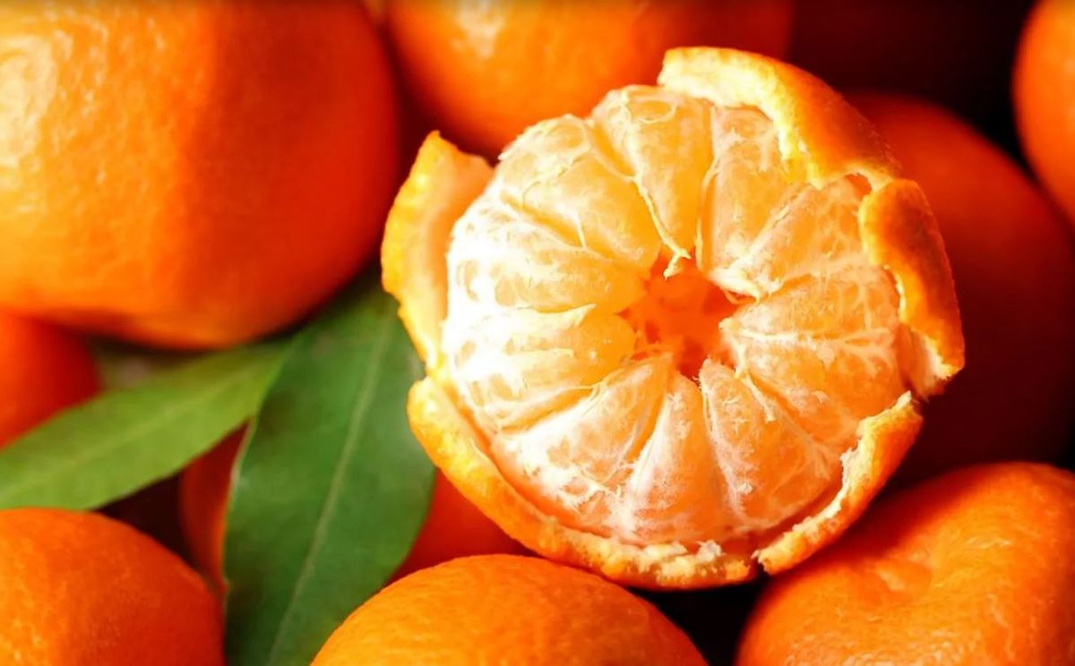 Beneficio de comer mandarina.