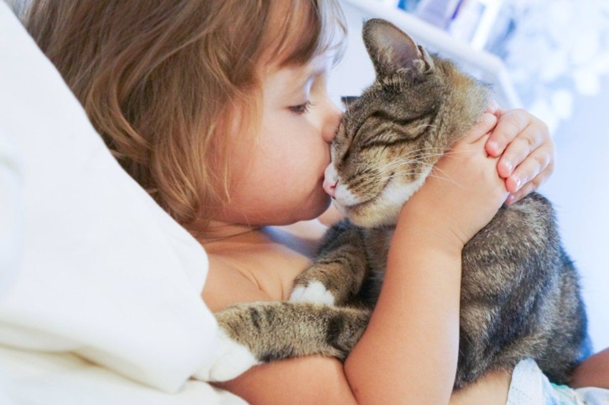 Un estudio indicó que dormir con mascotas no interrumpe el sueño