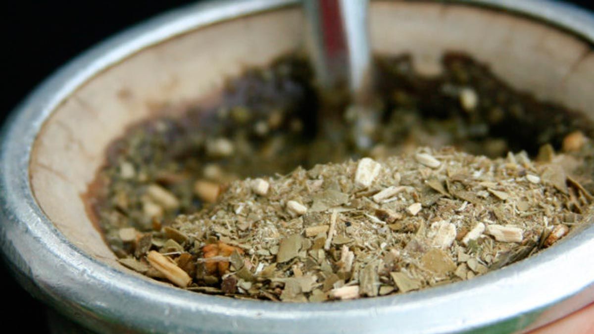 Mate rico y saludable. A la hora de elegir la yerba muchos optan por una yerba con palo. Mate rico y saludable. A la hora de elegir la yerba muchos optan por una yerba con palo.