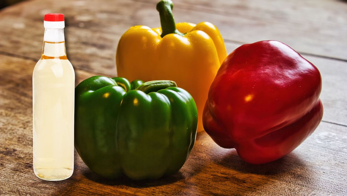 El vinagre se fabrica a partir del fermento natural de vegetales y legumbres El vinagre se fabrica a partir del fermento natural de vegetales y legumbres