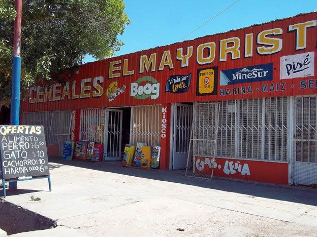 Para despistar y robar se hicieron pasar por gatos en plena pelea