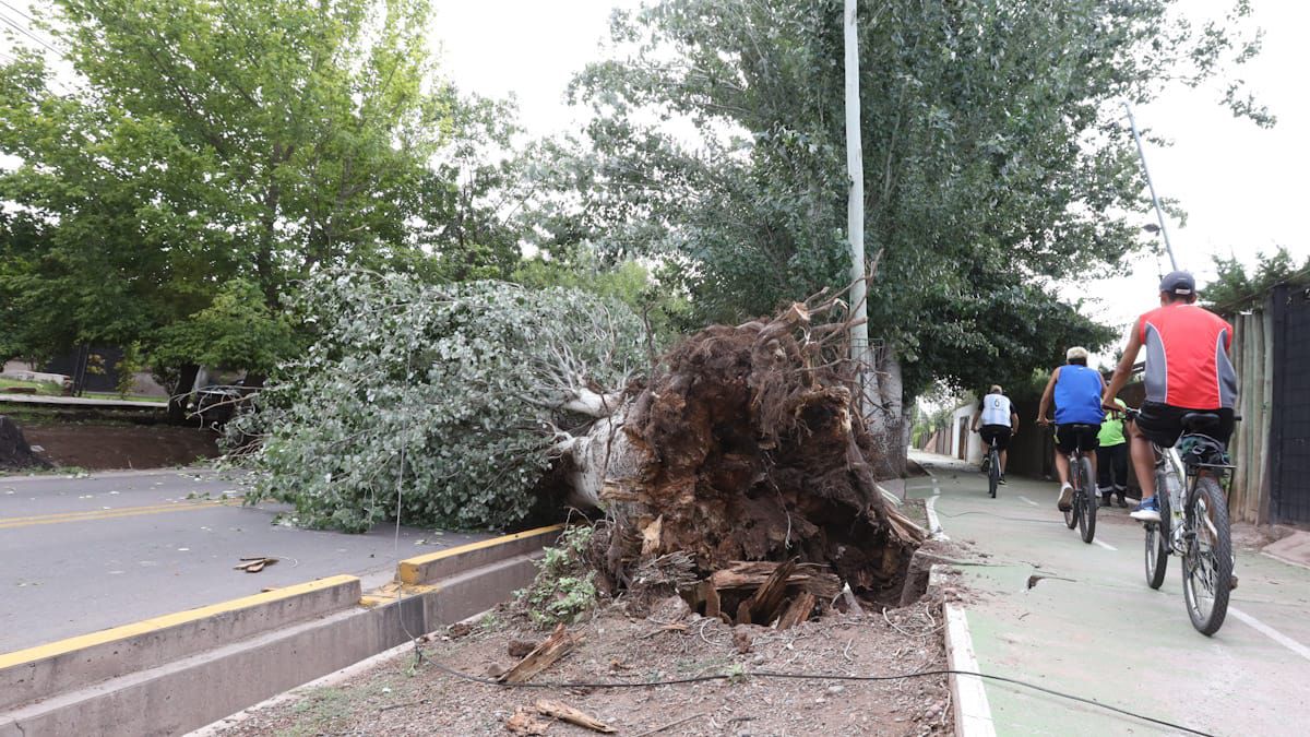 Un fenómeno extraordinario de viento Zonda y tormentas convectivas afectará a todo Mendoza