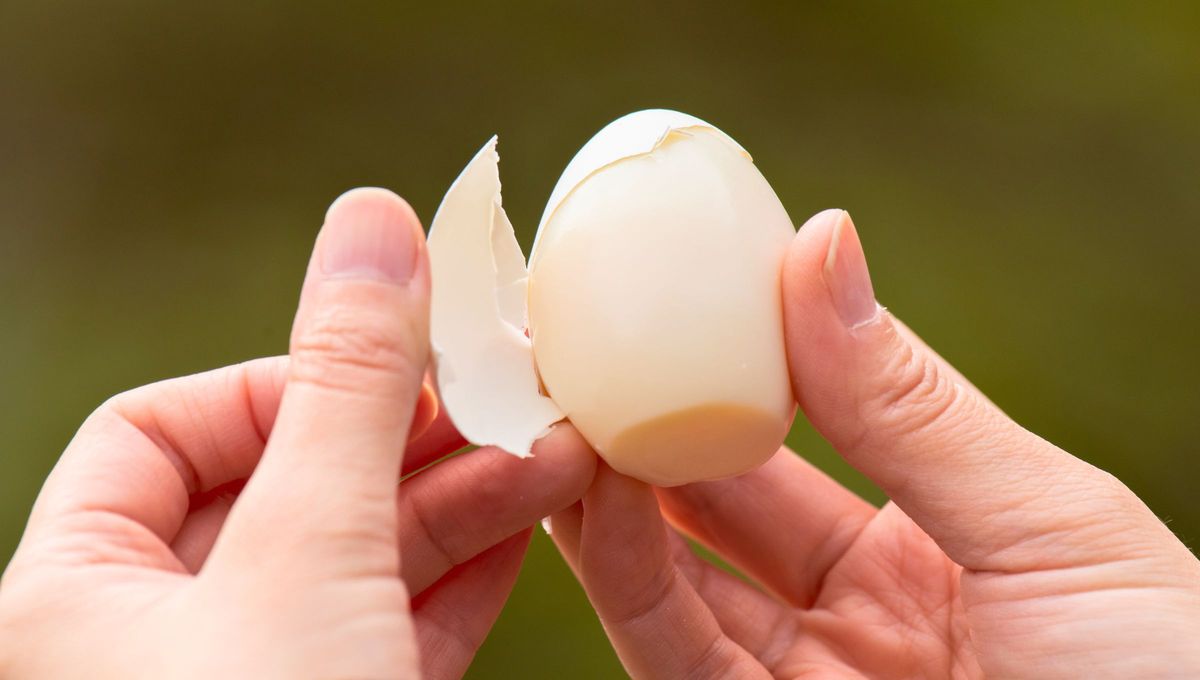 Existen varias técnicas para pelar huevos duros sin que se rompan. Existen varias técnicas para pelar huevos duros sin que se rompan.