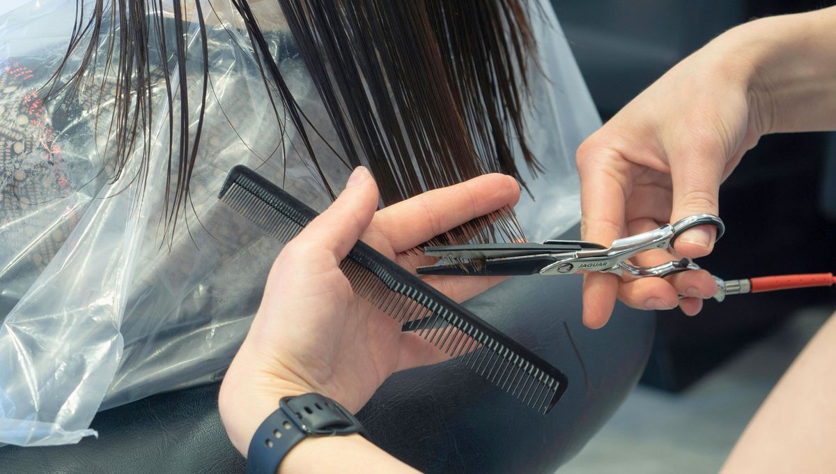 El pelo comenzó a cortarse y arreglarse con findes estéticos en la Edad Media y Moderna. El pelo comenzó a cortarse y arreglarse con findes estéticos en la Edad Media y Moderna.