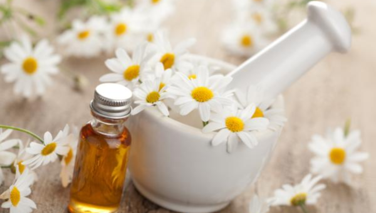 Aprende a eliminar las ojeras de manera eficiente con manzanilla