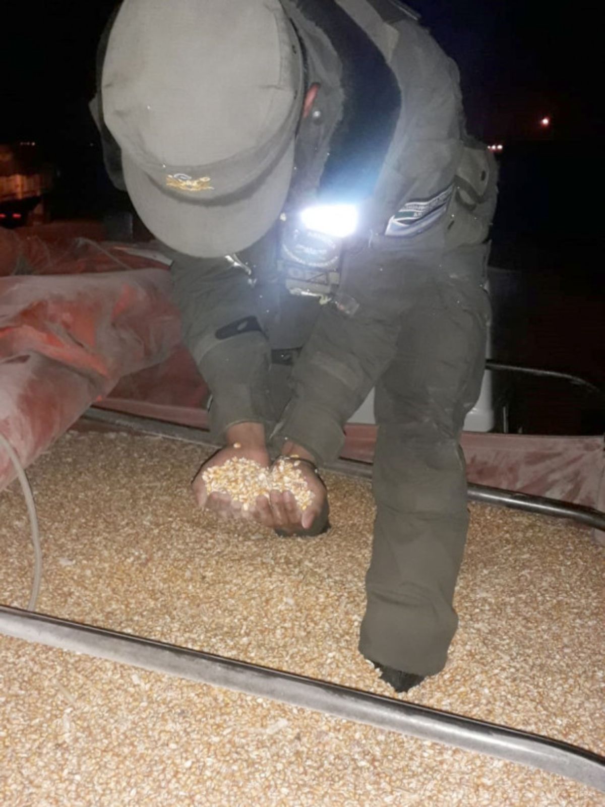 Treinta toneladas de maíz en grano transportaba cada uno de los dos camiones detenidos al ingresar a Mendoza con documentación falsa.