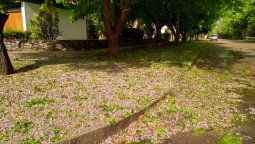 La tormenta descargó granizo en Ciudad y distritos aledaños