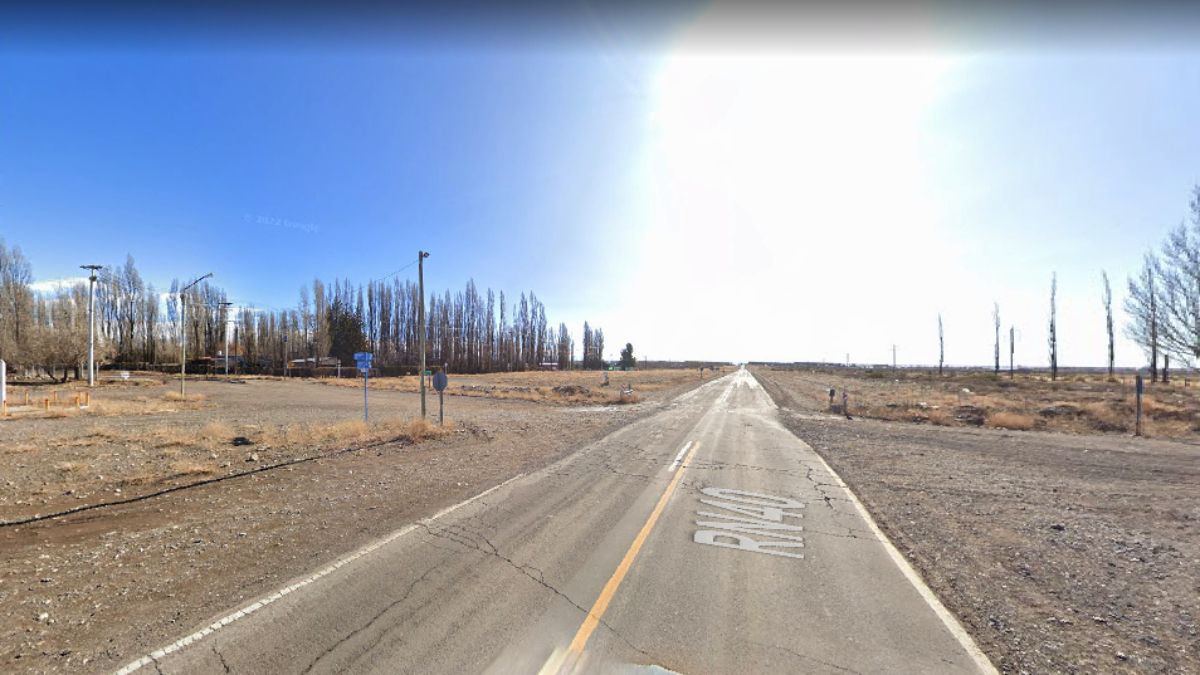 Nuevamente los animales sueltos provocaron un accidente. Un caballo suelto fue chocado por dos autos en Malargüe.