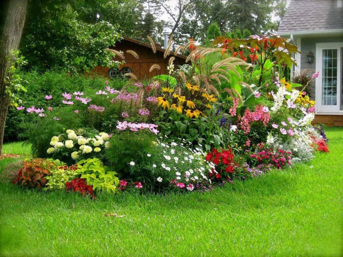 Sólo tienes que elegir en qué planta quieres utilizar este fertilizante, y regarla una vez con él cada 15 días. Sólo tienes que elegir en qué planta quieres utilizar este fertilizante, y regarla una vez con él cada 15 días.