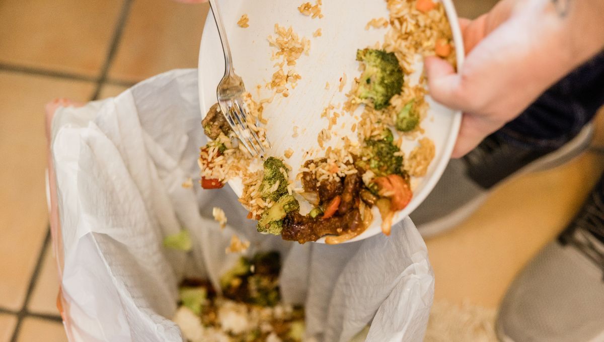 Los líquidos lixiviados pueden causar cientos de enfermedades y problemas en el medio ambiente. Los líquidos lixiviados pueden causar cientos de enfermedades y problemas en el medio ambiente. 