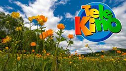 Conocé los números ganadores del último sorteo de Telekino Conocé los números ganadores del último sorteo de Telekino