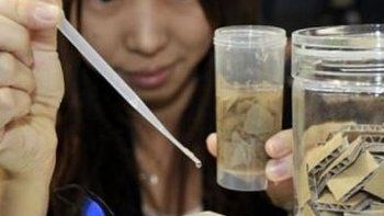 Sony logró obtener energía del cartón luego de cuatro años de experimentos