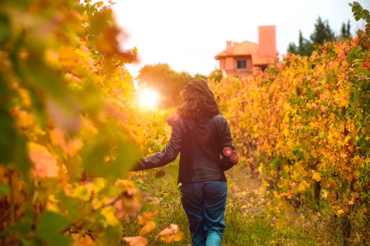 La Provincia salió con una campaña de otoño para atraer turistas de acá a mitad de año. Es una nueva edición del programa de beneficios Sale Mendoza.