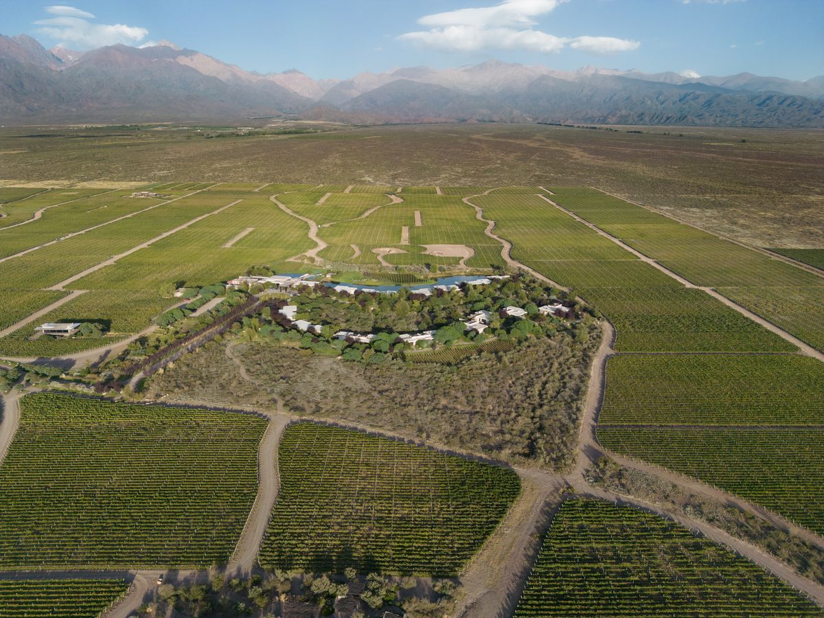 En las 500 hectáreas de The Vines of Mendoza que brinda Michael Evans con Pablo Giménez Riili, unas 352 personas de distintas partes del mundo elaboran sus vinos. En las 500 hectáreas de The Vines of Mendoza que brinda Michael Evans con Pablo Giménez Riili, unas 352 personas de distintas partes del mundo elaboran sus vinos.