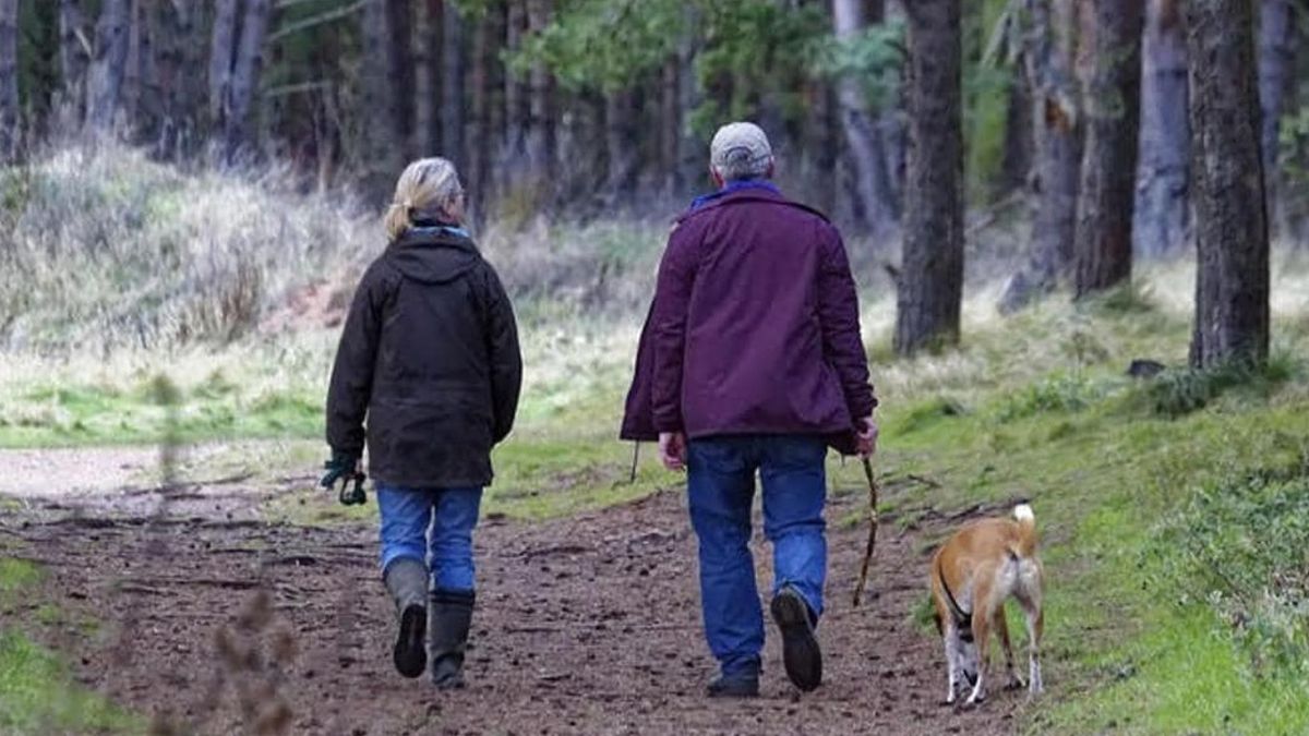 Los especialistas consideran que caminar en una actividad saludable que puede mejorar la calidad de vida Los especialistas consideran que caminar en una actividad saludable que puede mejorar la calidad de vida