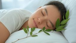 ¿Para qué sirve poner hojas de laurel debajo de la almohada?
