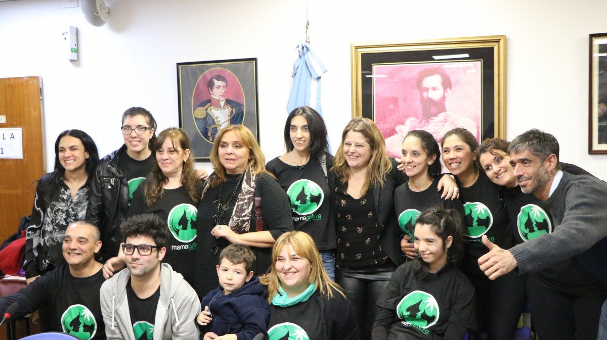El uso del cannabis medicinal se encamina a la autorización legal