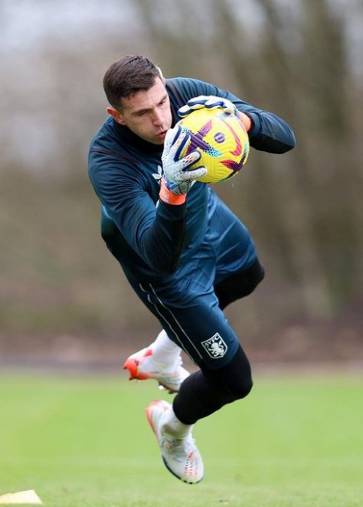 Dibu Martínez habría pagado 23.000 euros por un perro guardián