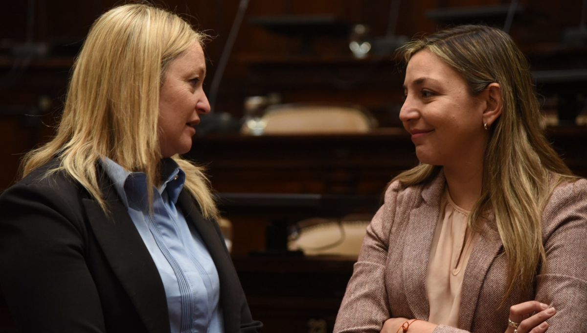 Hebe Casado votó junto a los senadores oficialistas por la reforma del Estatuto del Empleado Público.
