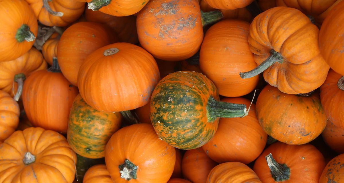 Cómo notar si una calabaza está en mal estado.