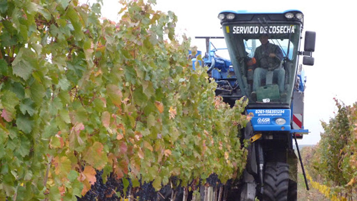 Buscan alternativas por la pandemia para la cosecha 2021