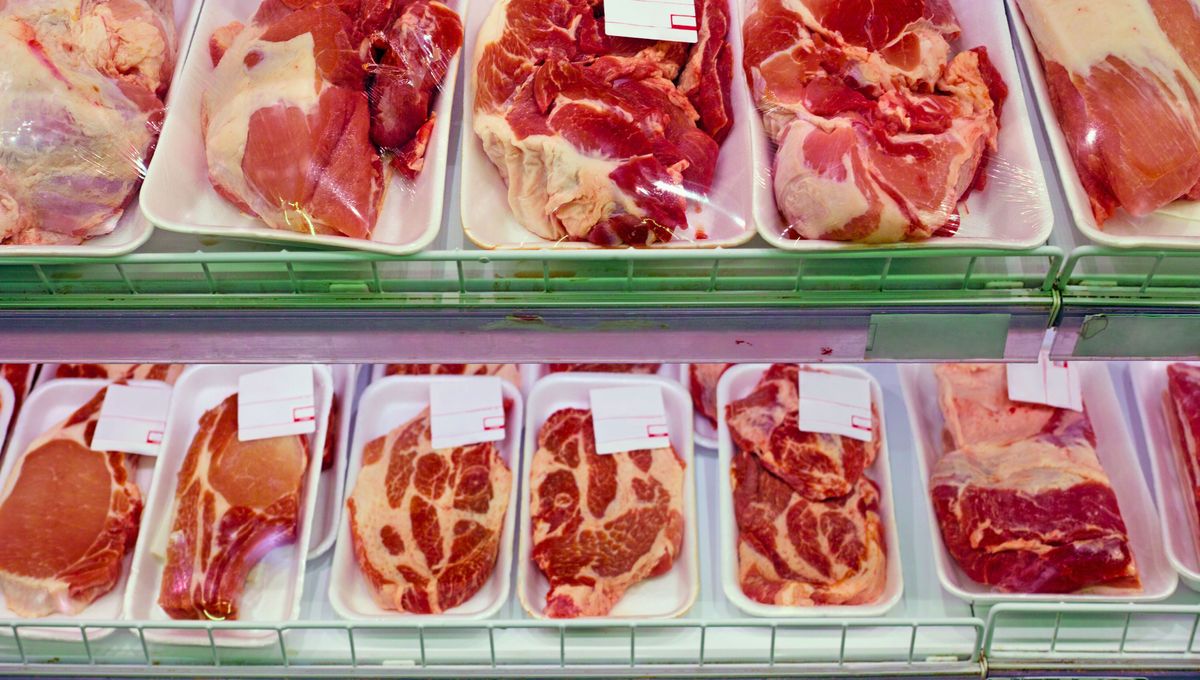 Argentina es uno de los paises que más produce y consume carne de vaca en el mundo. Argentina es uno de los paises que más produce y consume carne de vaca en el mundo. 