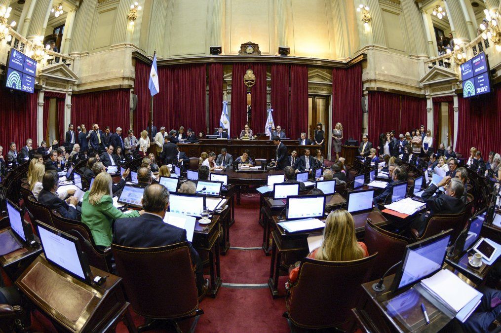 El Senado empieza a debatir el megaproyecto