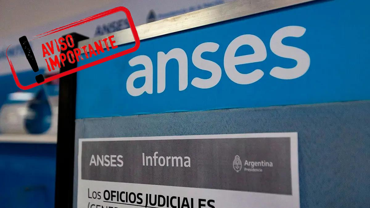 ANSES AUH y AUE: cómo serán los aumentos de junio y julio