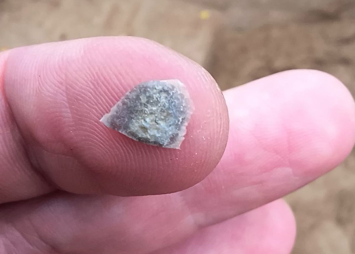 El descubrimiento de la Segunda Guerra Mundial que dejó sin palabras a los arqueólogos de Europa El descubrimiento de la Segunda Guerra Mundial que dejó sin palabras a los arqueólogos de Europa