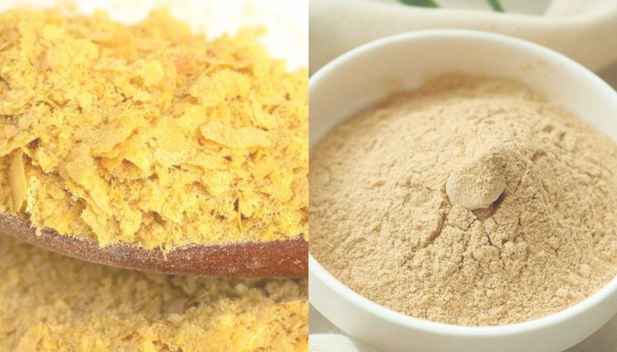 Este superalimento viene como polvo dorado o en forma de copos. Imagen: Redacción Diario Uno Este superalimento viene como polvo dorado o en forma de copos. Imagen: Redacción Diario Uno